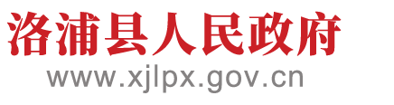 洛浦县人民政府网